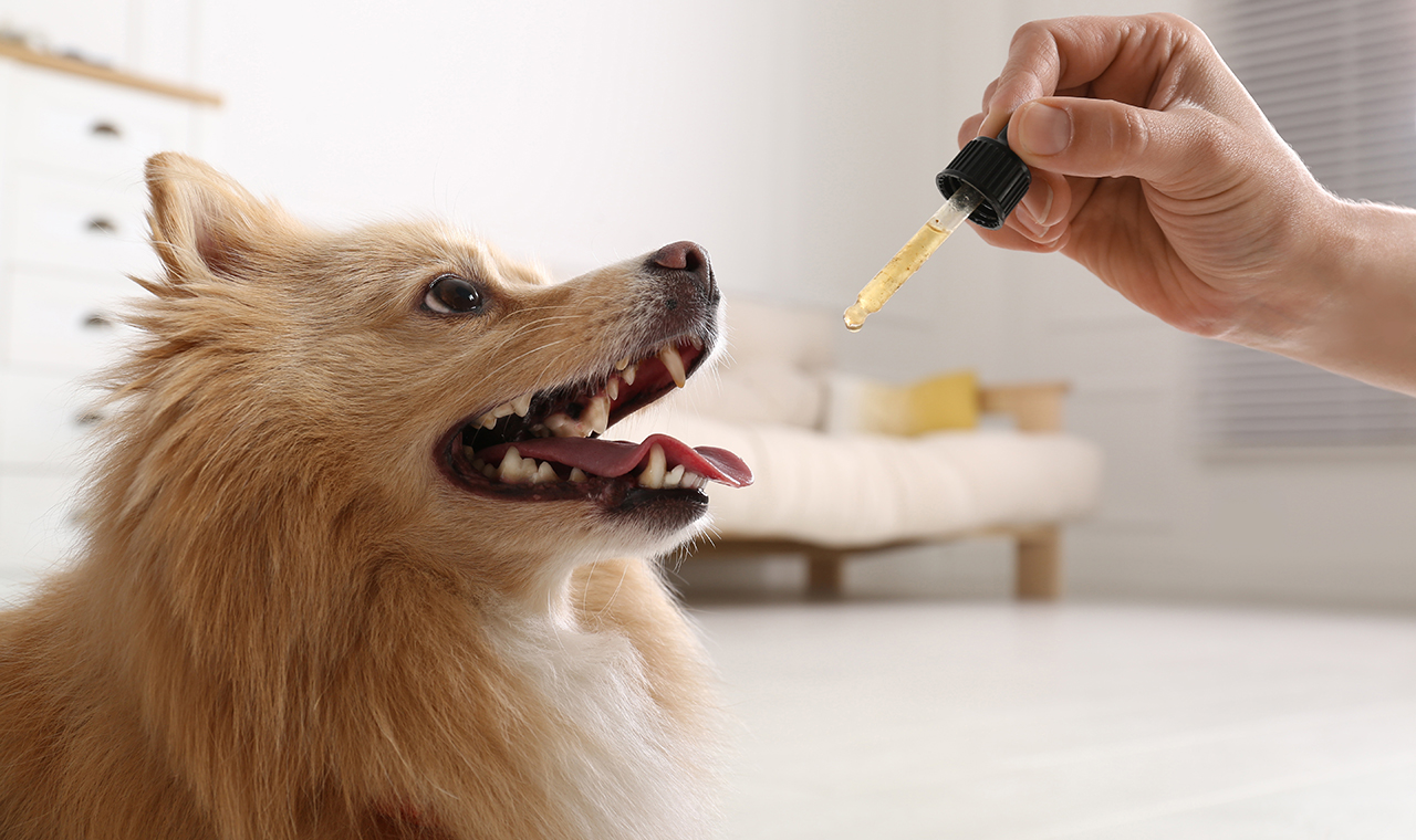 ISTITUTO FAUNO | BENESSERE E NATUROPATIA