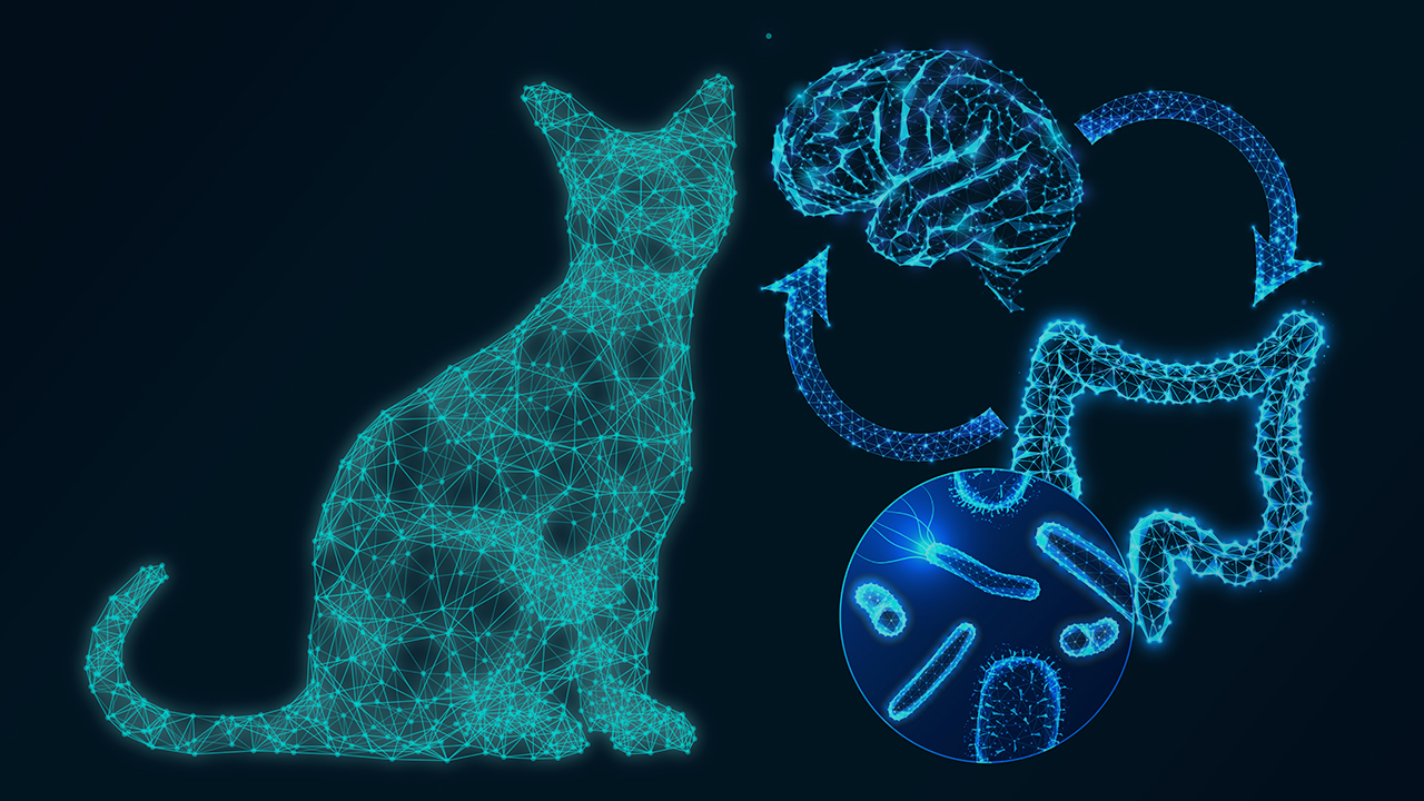 ISTITUTO FAUNO | SECONDO CERVELLO - ARGOMENTI