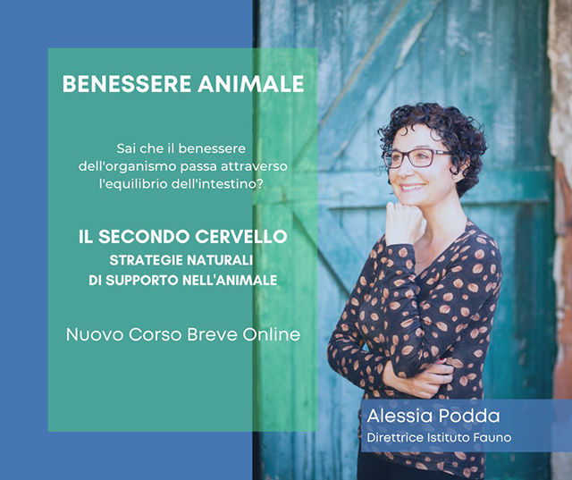 ISTITUTO FAUNO | SECONDO CERVELLO