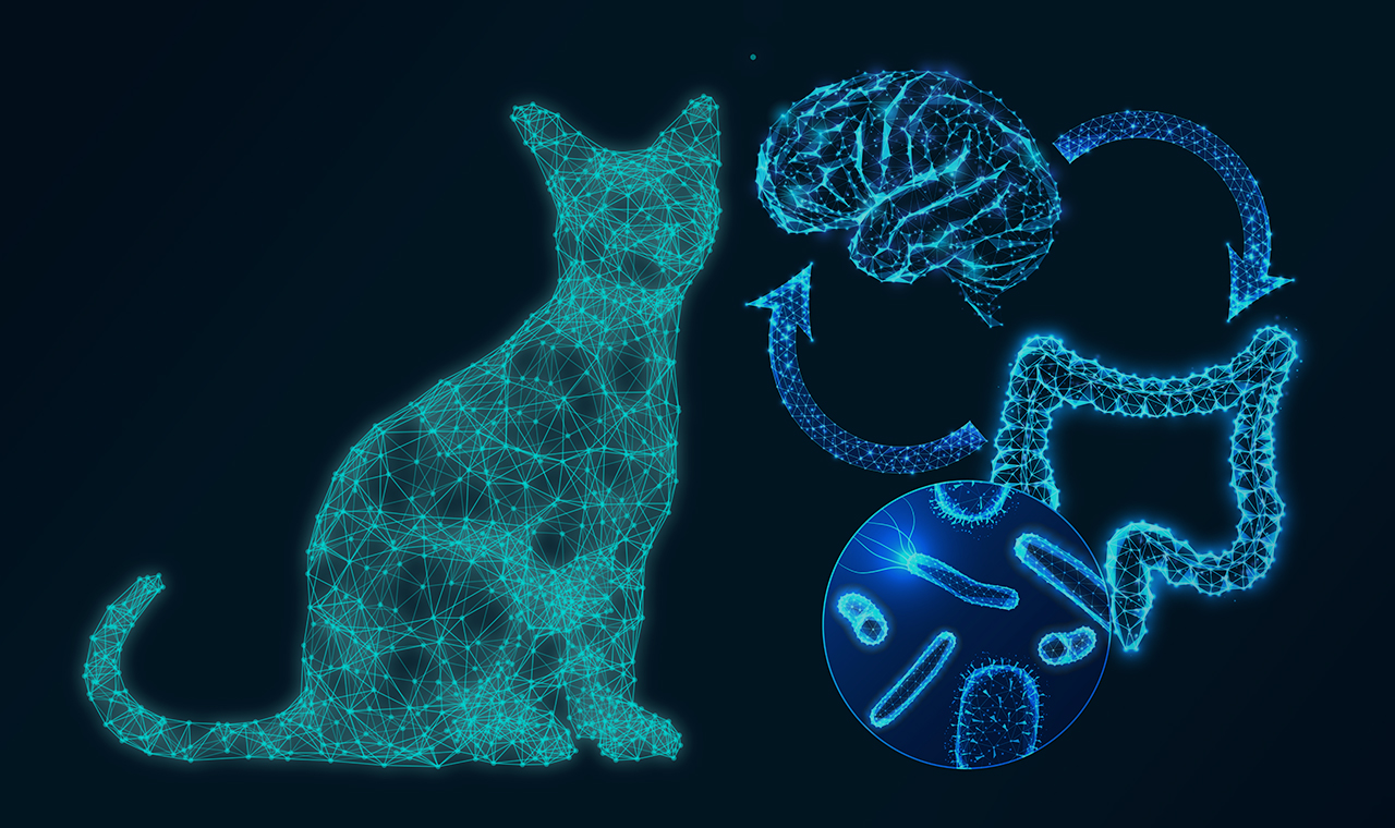 ISTITUTO FAUNO | SECONDO CERVELLO