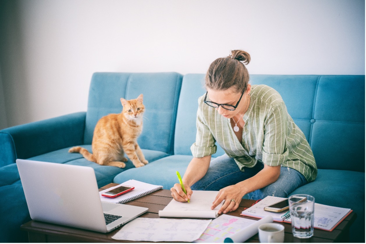 ISTITUTO FAUNO | PERCHÉ SCEGLIERCI?