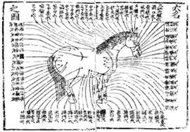 fauno tuina mappa cinese