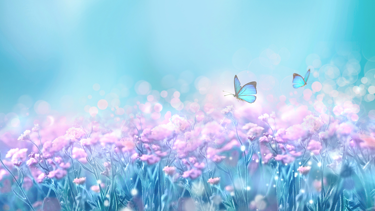 ISTITUTO FAUNO | GLI OLI ESSENZIALI